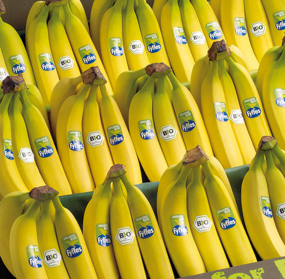 fyffesbananas Probeleggen